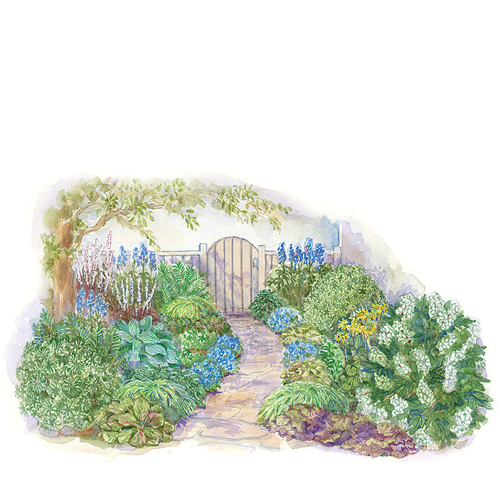 Shady Pathway Garden Plan
