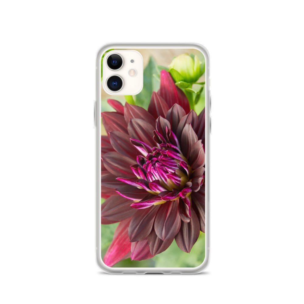 Black Dahlia iPhone Case – Garden Gate