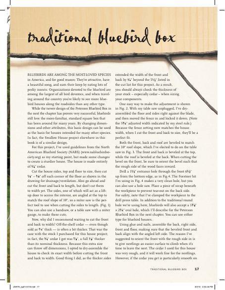 Traditional Bluebird Birdhouse Woodworking Plan