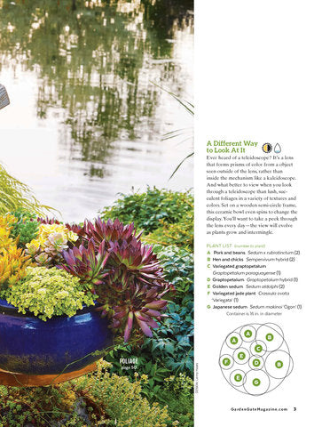 Containers Made Easy, Volume 4