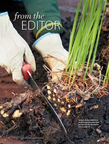 Easy Weekend Garden Solutions, Volume 2