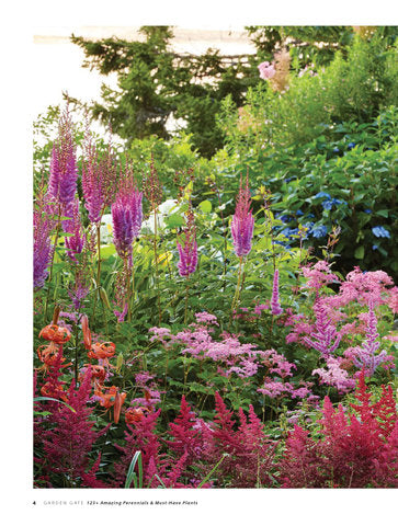 123+ Amazing Perennials & Must-Have Plants