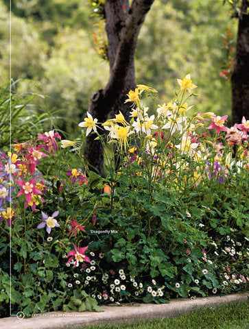 89 Perfect Perennials