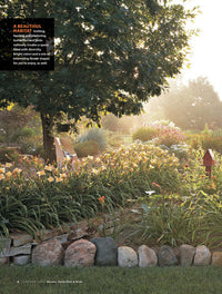 Ultimate Blooms, Butterflies & Birds, Volume 1