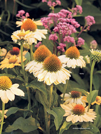 108+ Perfect Perennials & Must-Have Plants
