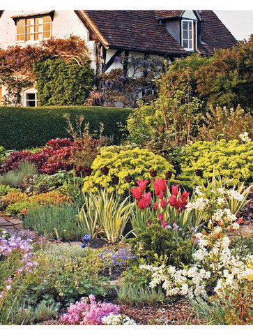 Amazing Spaces & Perfect Plants