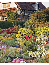 Amazing Spaces & Perfect Plants