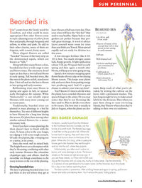 Ultimate Perennials for Sun & Shade, Volume 1