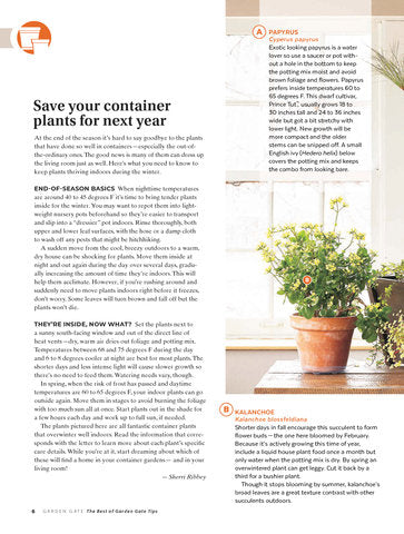 The Best of Garden Gate Garden Tips, Volume 4
