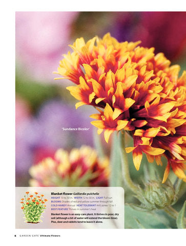 Ultimate Flowers for Sun and Shade