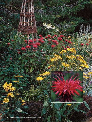 Ultimate Perennials for Sun & Shade, Volume 1