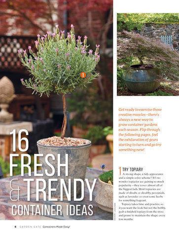 Containers Made Easy, Volume 4