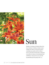 123+ Amazing Perennials & Must-Have Plants