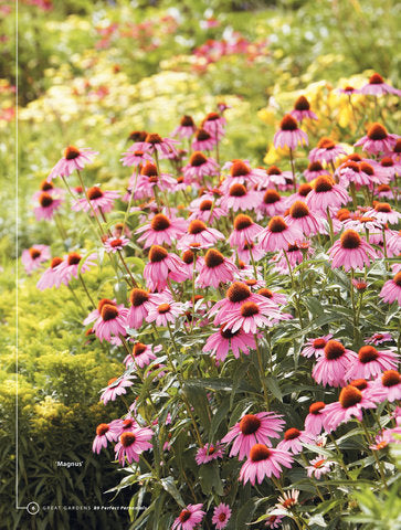 89 Perfect Perennials