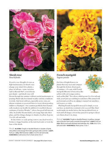 108+ Perfect Perennials & Must-Have Plants