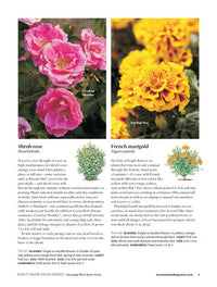 108+ Perfect Perennials & Must-Have Plants