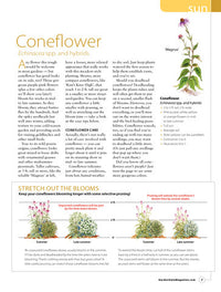 89 Perfect Perennials