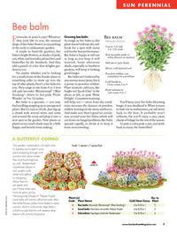 Ultimate Perennials for Sun & Shade, Volume 1