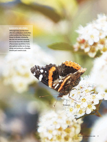 Ultimate Blooms, Butterflies & Birds, Volume 1