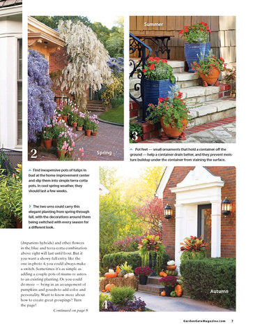 Complete Guide to Container Gardening