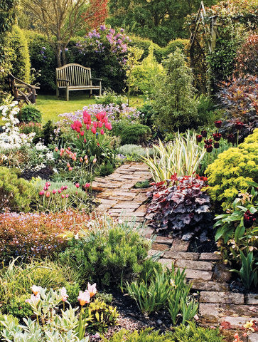 Amazing Spaces & Perfect Plants