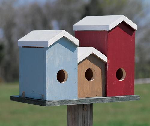 Purple Martin Rowhouses Birdhouse