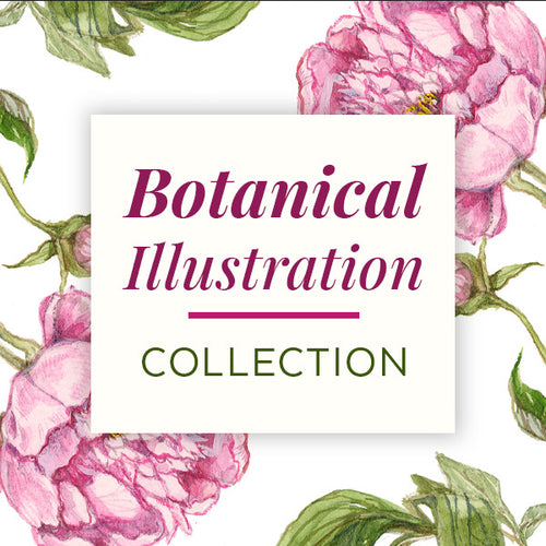 Botanical Illustration Collection