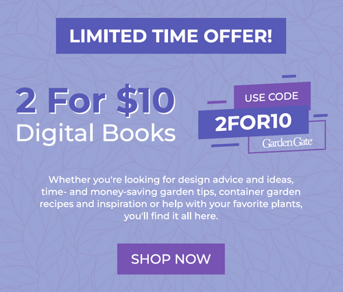 2 for $10 Digital Books 2025