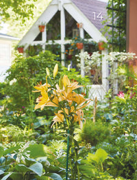 The Garden Idea Book, Volume 3