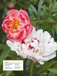 Ultimate Perennials for Sun & Shade, Volume 2
