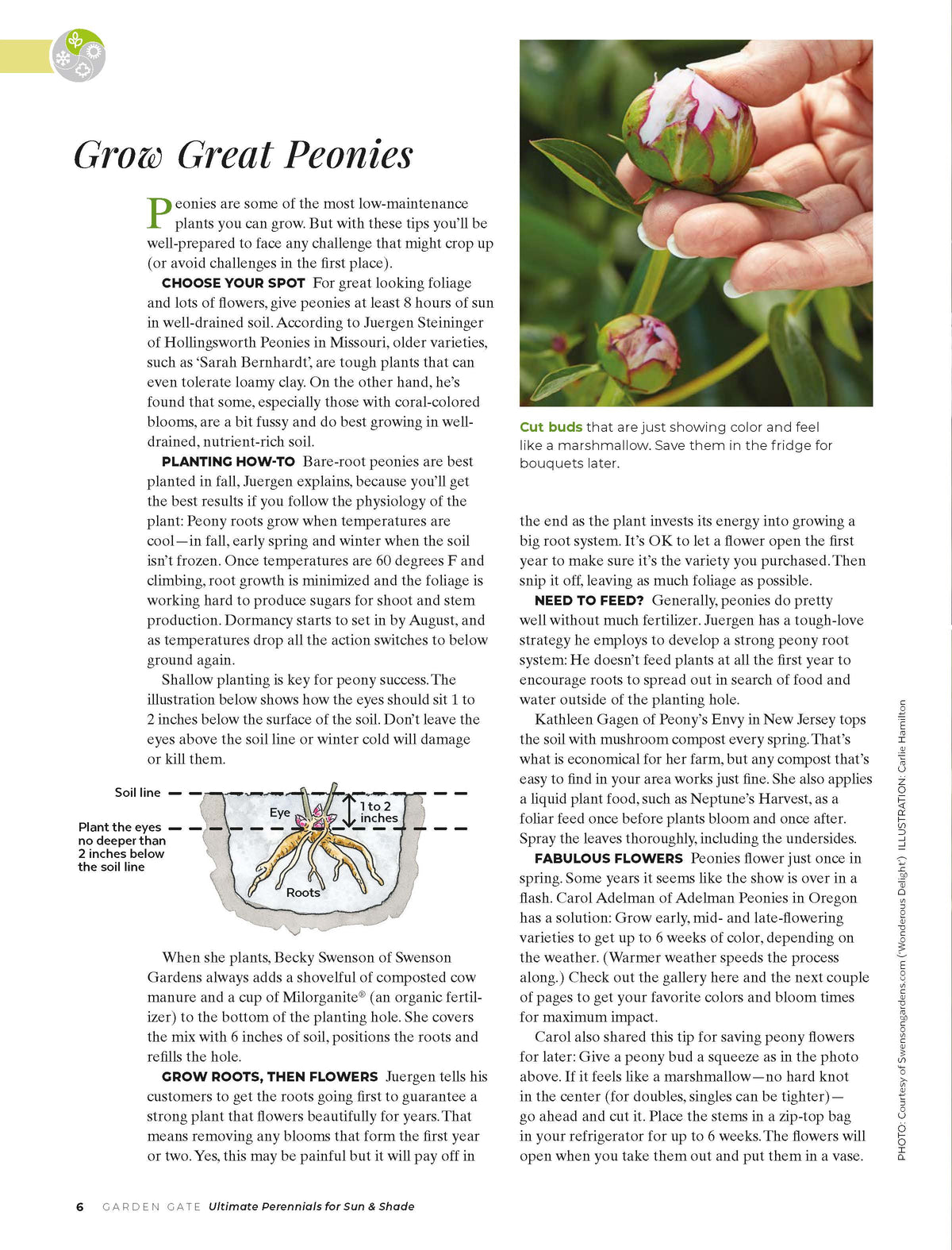 Ultimate Perennials for Sun & Shade, Volume 2