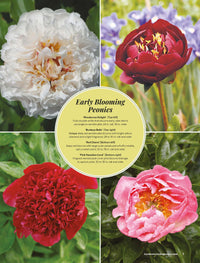 Ultimate Perennials for Sun & Shade, Volume 2