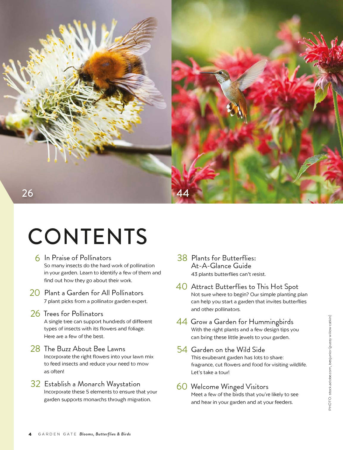 Ultimate Blooms, Butterflies & Birds Book, Volume 2