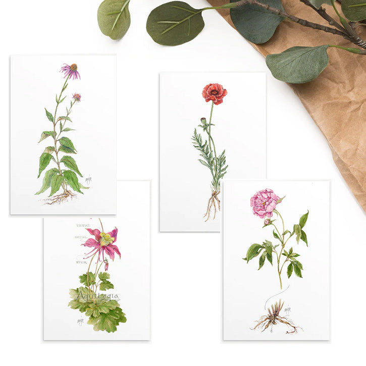 Columbine Botanical Illustration 4x6 Notecard (Single card)
