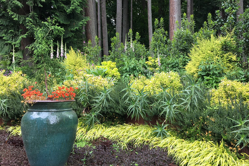 The Garden of Karen Brindley