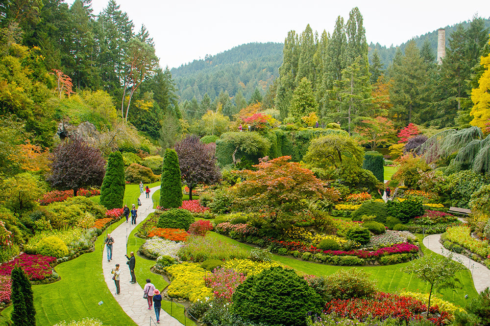 Butchart Gardens