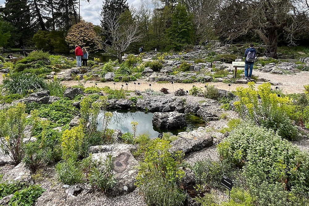 Cambridge University Botanic Garden