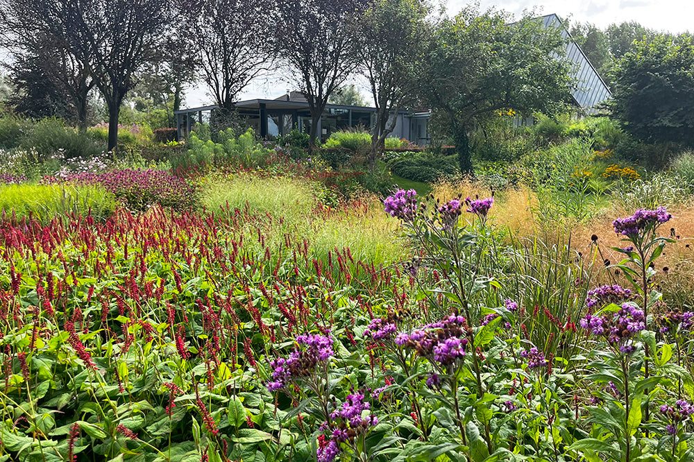 Garden at Fortmond