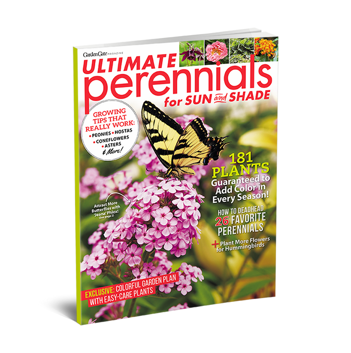 Ultimate Perennials for Sun & Shade, Volume 2