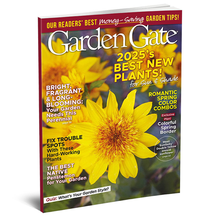 Garden Gate Magazine Single Issues