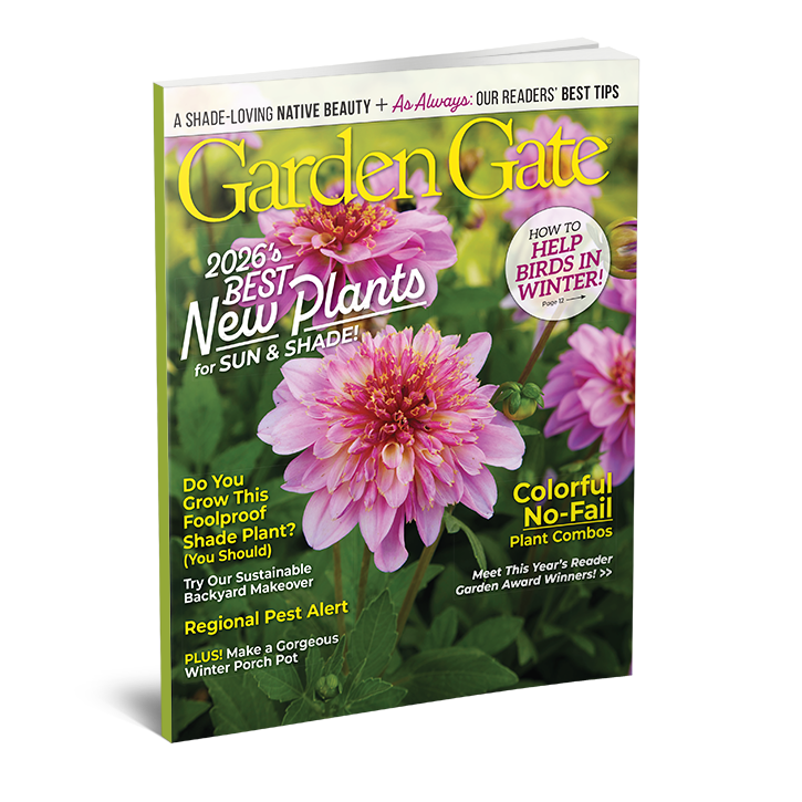 Garden Gate Magazine Single Issues