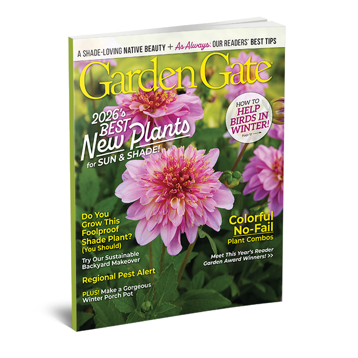 Garden Gate Magazine Single Issues
