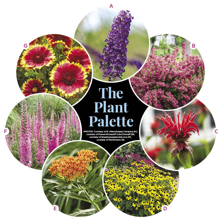 Easy-Care Pollinator Garden Bed Plan