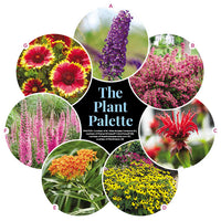 Easy-Care Pollinator Garden Bed Plan