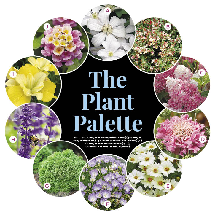 Colorful Planting Around a Pergola Garden Plan