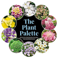 Colorful Planting Around a Pergola Garden Plan