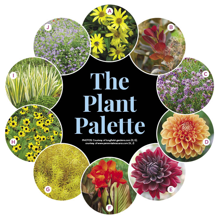 Colorful Late-Season Border Garden Plan