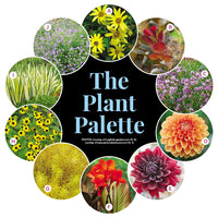 Colorful Late-Season Border Garden Plan