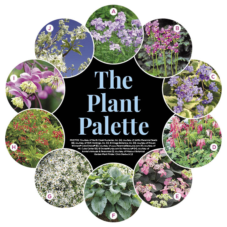 Wildlife-Friendly Woodland Garden Plan