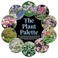 Wildlife-Friendly Woodland Garden Plan